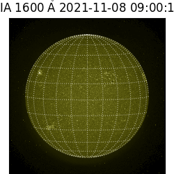 saia - 2021-11-08T09:00:00