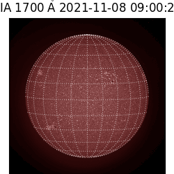 saia - 2021-11-08T09:00:00