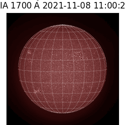 saia - 2021-11-08T11:00:00