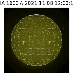 saia - 2021-11-08T12:00:00