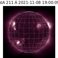 saia - 2021-11-08T19:00:00