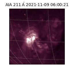 saia - 2021-11-09T06:00:21.632000