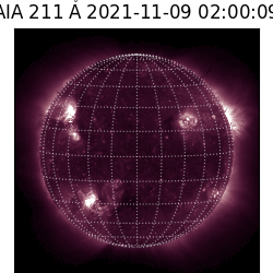 saia - 2021-11-09T02:00:00