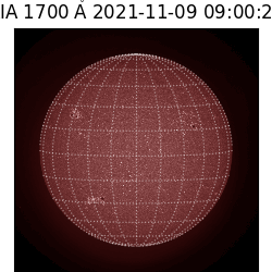 saia - 2021-11-09T09:00:00