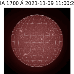 saia - 2021-11-09T11:00:00