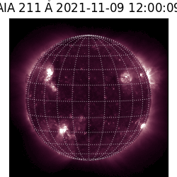 saia - 2021-11-09T12:00:00