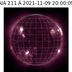 saia - 2021-11-09T20:00:00