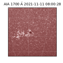 saia - 2021-11-11T08:00:28.718000