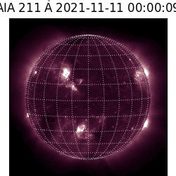 saia - 2021-11-11T00:00:00