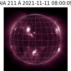 saia - 2021-11-11T08:00:00