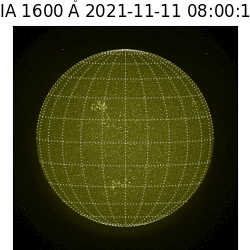 saia - 2021-11-11T08:00:00