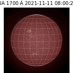 saia - 2021-11-11T08:00:00