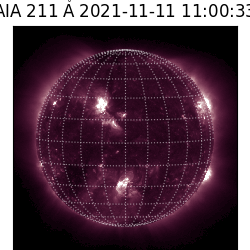 saia - 2021-11-11T11:00:00