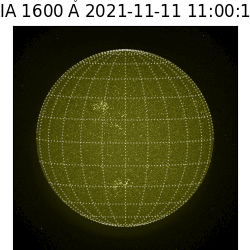 saia - 2021-11-11T11:00:00