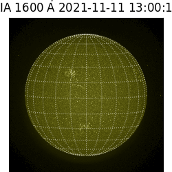 saia - 2021-11-11T13:00:00