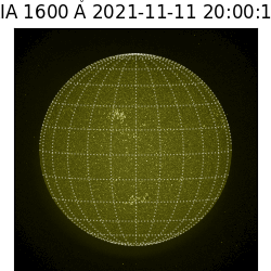 saia - 2021-11-11T20:00:00