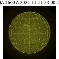 saia - 2021-11-11T23:00:00