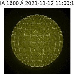 saia - 2021-11-12T11:00:00