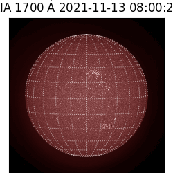 saia - 2021-11-13T08:00:00