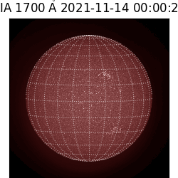 saia - 2021-11-14T00:00:00