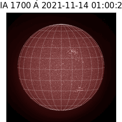 saia - 2021-11-14T01:00:00