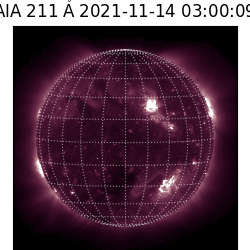 saia - 2021-11-14T03:00:00