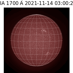 saia - 2021-11-14T03:00:00