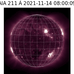 saia - 2021-11-14T08:00:00