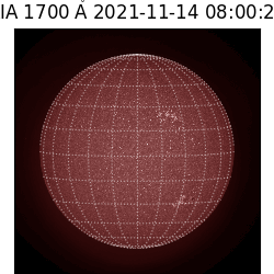 saia - 2021-11-14T08:00:00