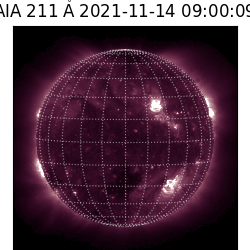 saia - 2021-11-14T09:00:00