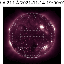 saia - 2021-11-14T19:00:00