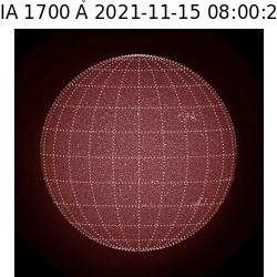 saia - 2021-11-15T08:00:00