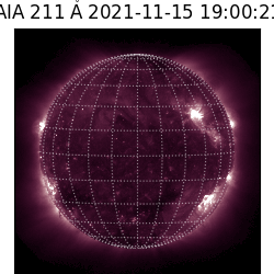 saia - 2021-11-15T19:00:00