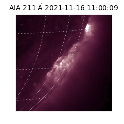 saia - 2021-11-16T11:00:09.626000