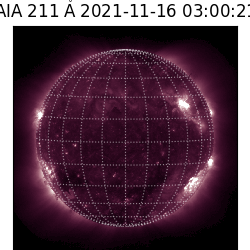 saia - 2021-11-16T03:00:00