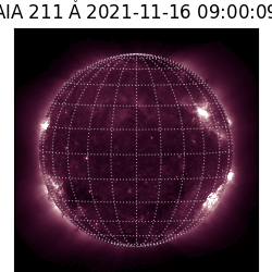 saia - 2021-11-16T09:00:00