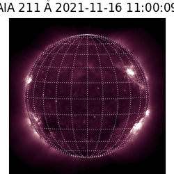 saia - 2021-11-16T11:00:00