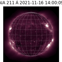 saia - 2021-11-16T14:00:00