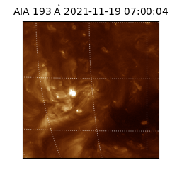 saia - 2021-11-19T07:00:04.835000