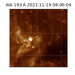 saia - 2021-11-19T08:00:04.843000