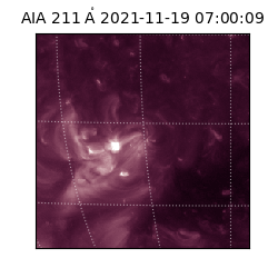 saia - 2021-11-19T07:00:09.618000