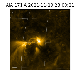 saia - 2021-11-19T23:00:21.347000