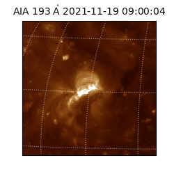 saia - 2021-11-19T09:00:04.843000