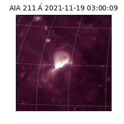 saia - 2021-11-19T03:00:09.632000