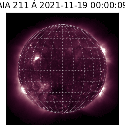 saia - 2021-11-19T00:00:00