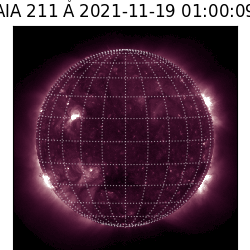 saia - 2021-11-19T01:00:00