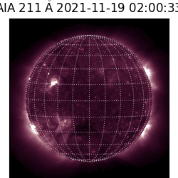 saia - 2021-11-19T02:00:00