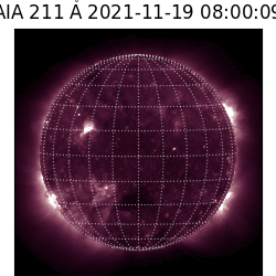 saia - 2021-11-19T08:00:00