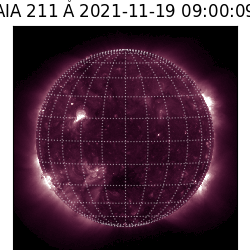 saia - 2021-11-19T09:00:00