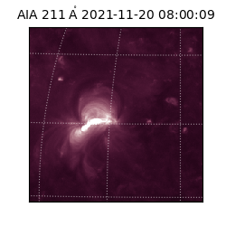 saia - 2021-11-20T08:00:09.626000